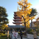 “止まる・読む・進む”の感覚を磨く、観光地ならではの超低速ドライブ練習