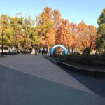 静かな住宅街で“落ち着いた運転”を取り戻す。基礎練習に最適な菖蒲園エリア