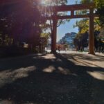 明治神宮の参道は、都会とは思えない静けさ
