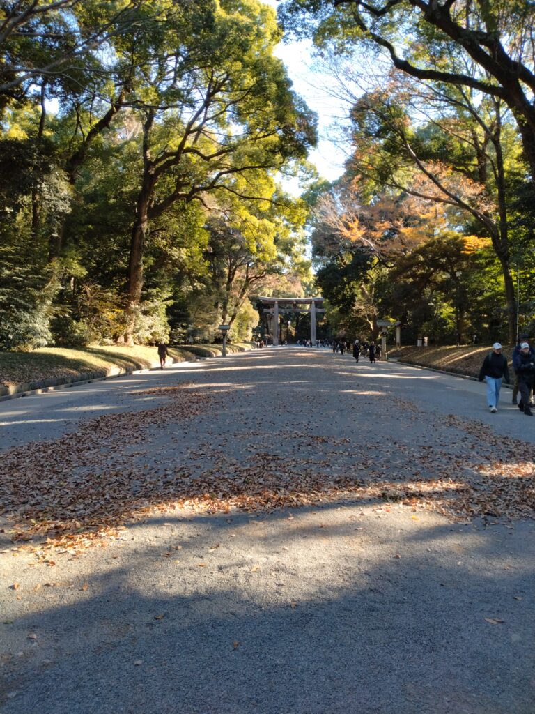 100年かけて育った杜が生む“癒やしの空気”