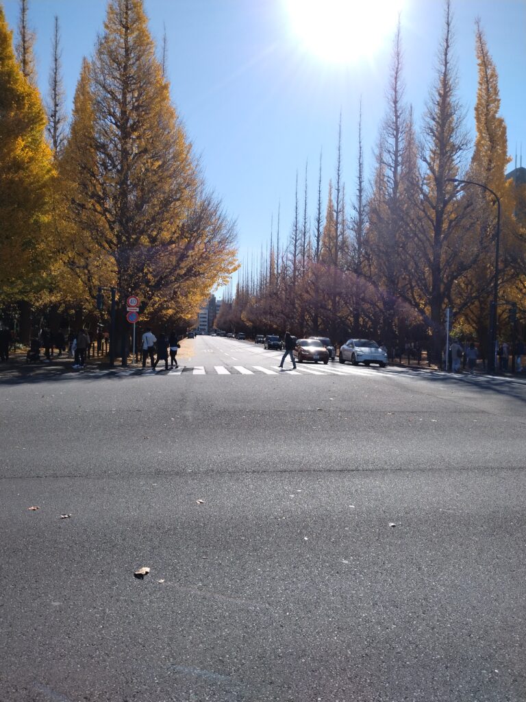 秋の思い出を作るなら、外苑のイチョウ並木へ