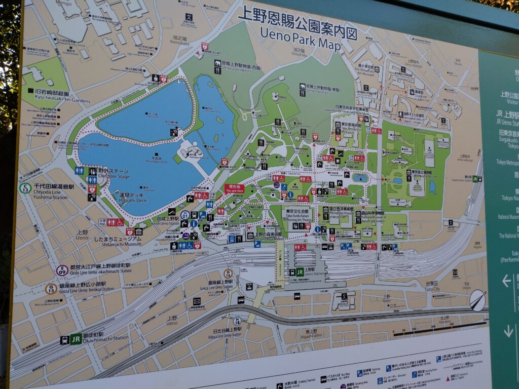 上野公園はアクセス抜群で家族連れにも安心